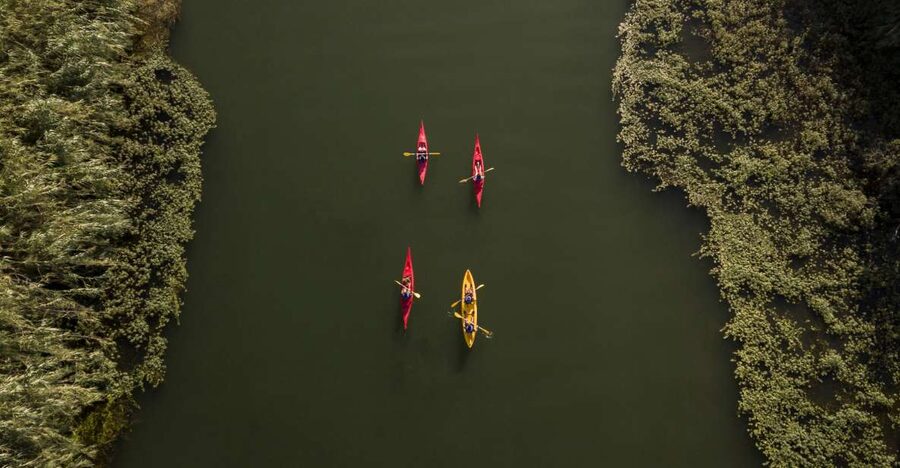 Ebro Delta: Guided Kayak Tour to Gracia Island - A Quiet Paddle Into the Ebro Delta