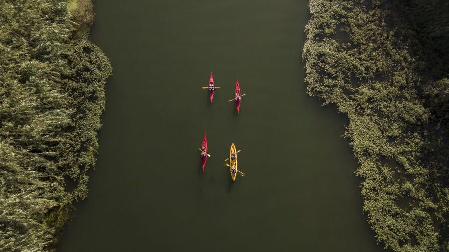 Ebro Delta: Guided Kayak Tour to Gracia Island - Starting in Balada and Getting on the Water