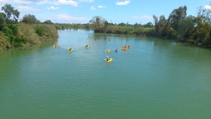 Ebro Delta: Guided Kayak Tour to Gracia Island - Around Gracia Island