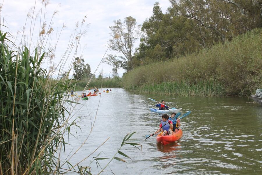 Ebro Delta: Guided Kayak Tour to Gracia Island - Physical Effort, Equipment, and Comfort