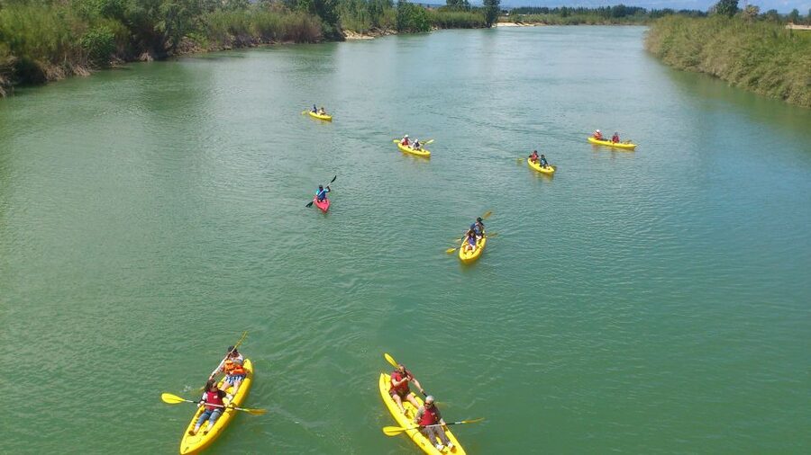 Ebro Delta: Guided Kayak Tour to Gracia Island - Who Will Enjoy This Kayak Tour?
