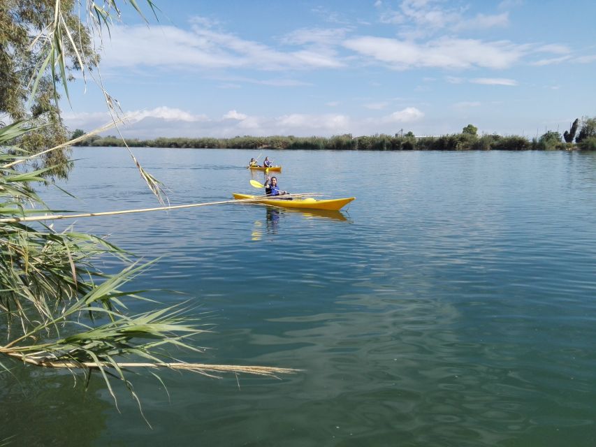 Ebro Delta: Guided Kayak Tour to Gracia Island - Should You Book the Gracia Island Paddle?
