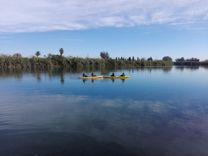 Ebro Delta: Guided Kayak Tour to Gracia Island - Paddling Across the Ebro