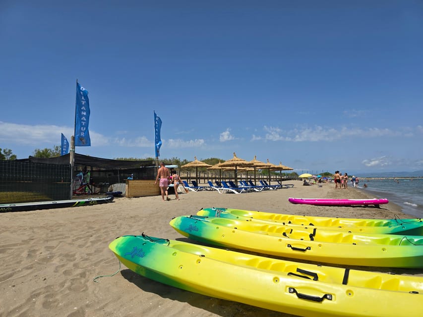 Ebro Delta National Park: Scenic Drive and Kayaking Tour - Is $57 a fair price?