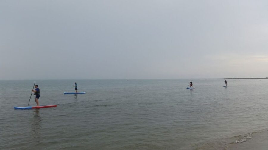 Ebro Delta National Park: Scenic Drive and Kayaking Tour - Who should book this Ebro Delta tour?