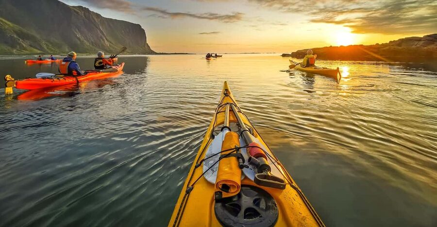Eggum: Lofoten Islands Midnight Sun Kayak Tour - Wildlife without disturbing it