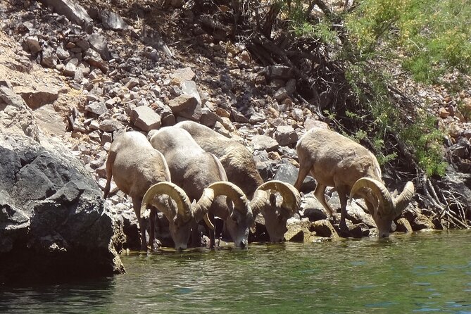 Emerald Cave & Black Canyon Kayak Tour with Vegas Pickup - Emerald Cave, swimming, and the busiest stretch