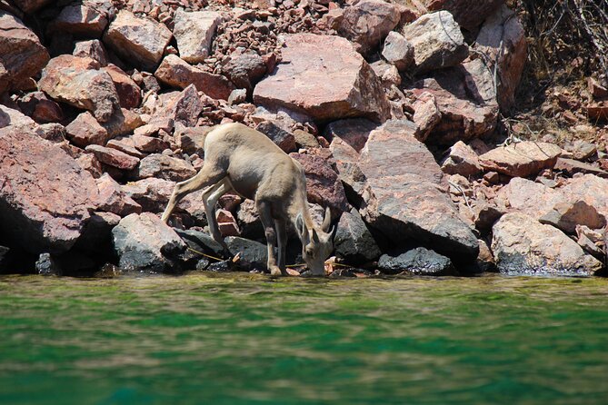 Emerald Cave Scenic Escape Guided Tour —Self-Drive Colorado River - Practical details before you book