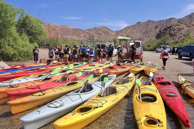 Emerald Cave Self-Guided Kayak Tour in Black Canyon - Wildlife and quiet moments on the river