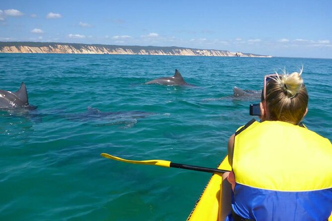 Epic Kayak With Dolphins & Wildlife - 4WD Beach Adventure Noosa - Key points to know before booking