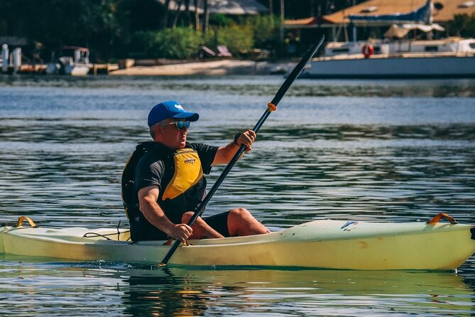 Epic Kayak With Dolphins & Wildlife - 4WD Beach Adventure Noosa - How likely are dolphins, whales, and turtles?