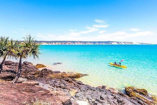 Epic Kayak With Dolphins & Wildlife - 4WD Beach Adventure Noosa - The guide team and the feel of the group
