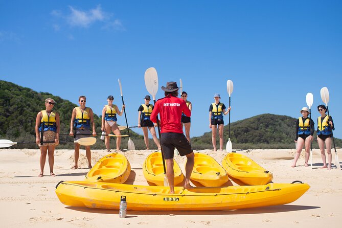 Epic Kayak With Dolphins & Wildlife - 4WD Beach Adventure Noosa - Is $115.48 good value?
