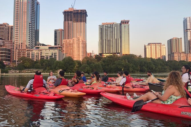 Evening Bat Watching Kayak Tour - Key points to know before you paddle