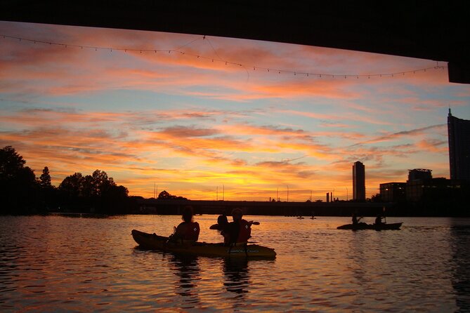 Evening Bat Watching Kayak Tour - Is $49 a fair price?