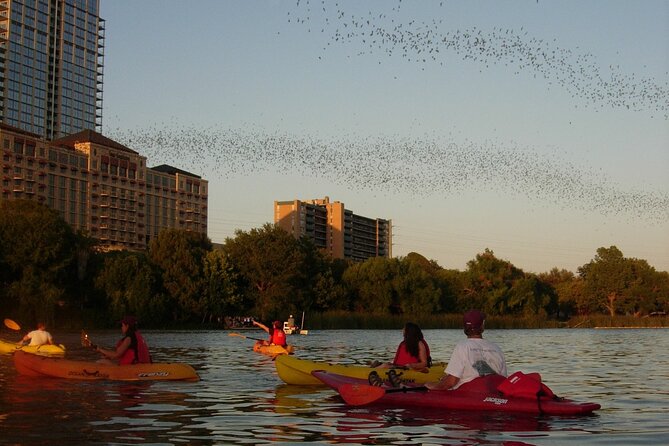 Evening Bat Watching Kayak Tour - Timing, cancellation, and weather details