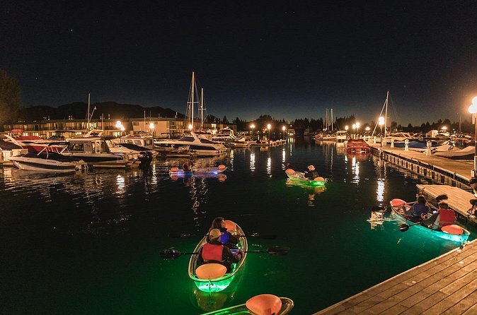 Evening LED Glow Clear Kayak Tour in Lake Tahoe - Wildlife can make the quiet water memorable
