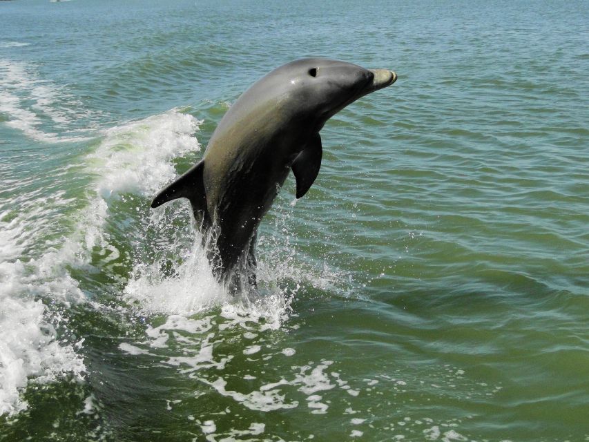Everglades: Boat Assisted Kayak Eco Tour - The island walk adds a welcome change of pace