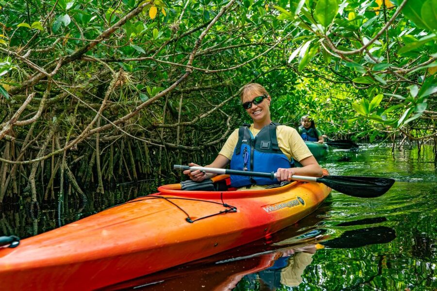Everglades City: Guided Kayaking Tour and Airboat Ride - Key points to know before you book