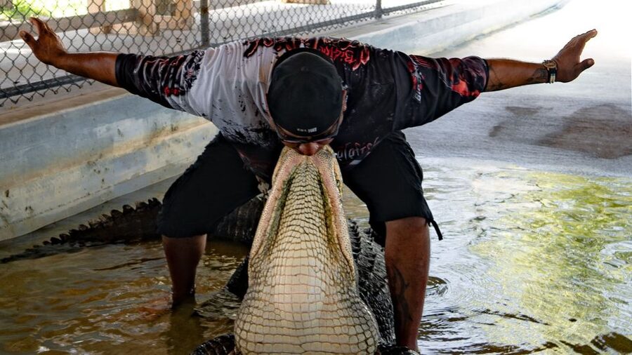 Everglades City: Guided Kayaking Tour and Airboat Ride - Wildlife sightings depend on water and timing