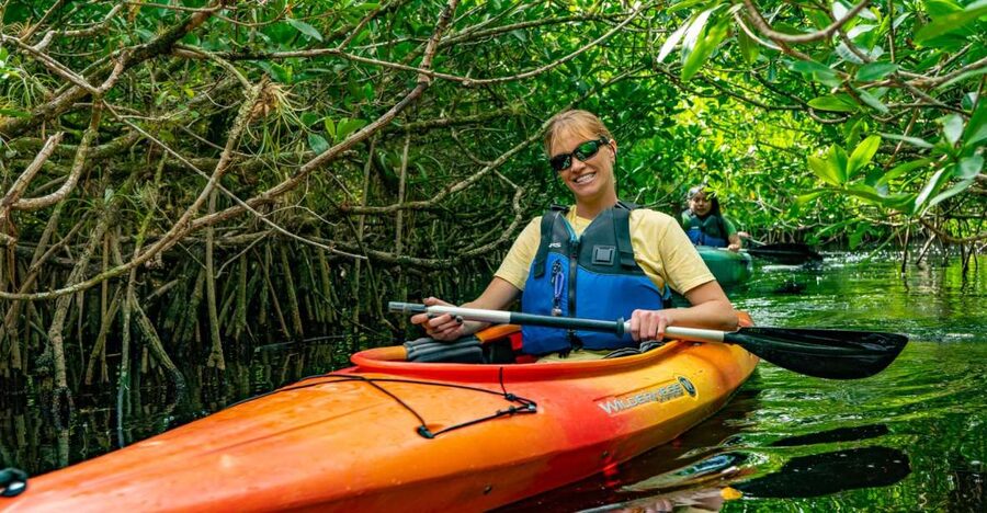 Everglades City: Guided Kayaking Tour and Airboat Ride - Is $149 a fair price?