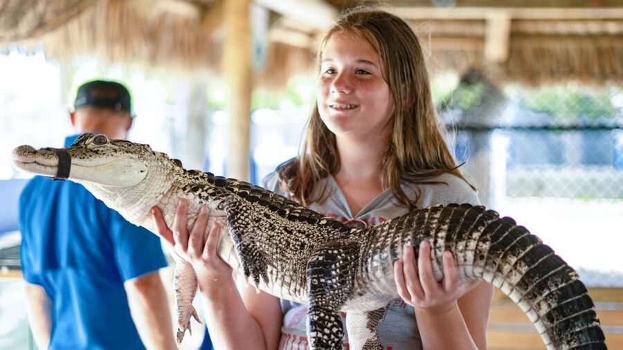 Everglades City: Guided Kayaking Tour and Airboat Ride - Who should book this experience?