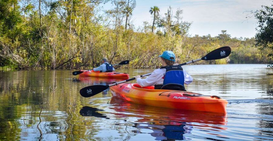 Everglades City: Guided Kayaking Tour of the Wetlands - Key points to know before you paddle