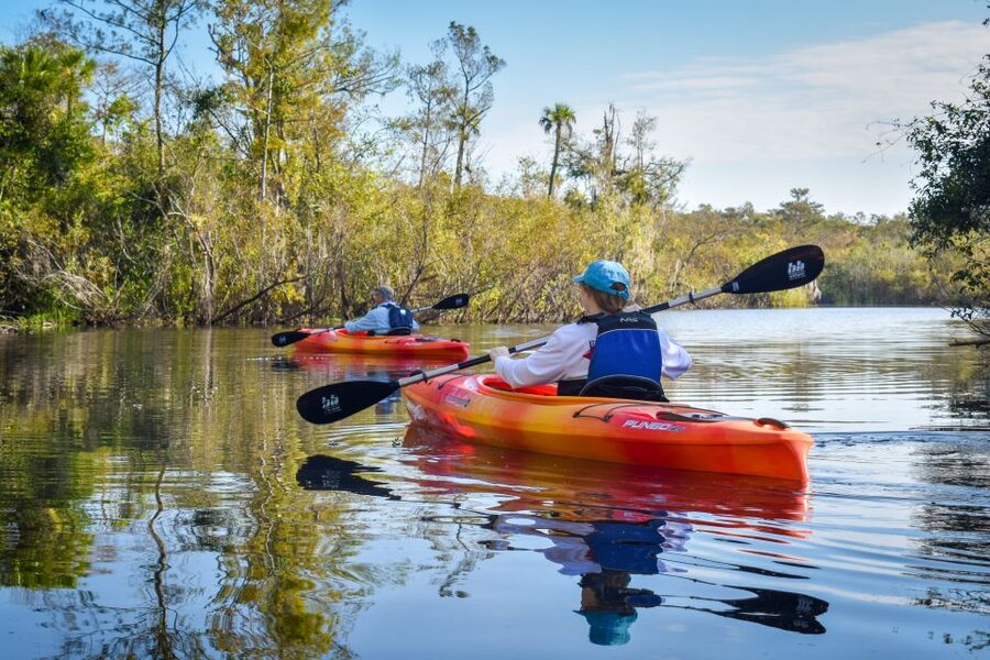 Everglades City: Guided Kayaking Tour of the Wetlands - Why the mangrove tunnels make this tour special