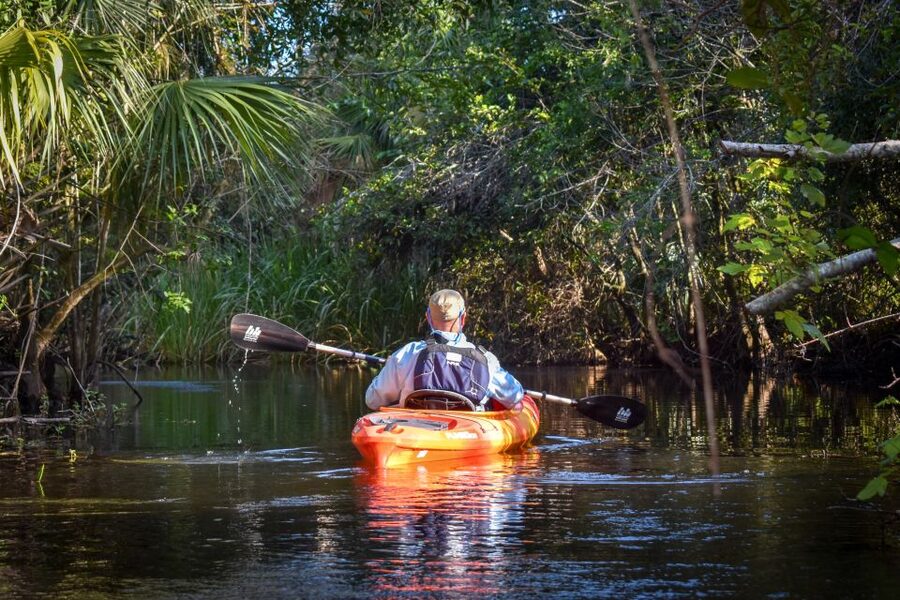 Everglades City: Guided Kayaking Tour of the Wetlands - Through mangroves, cypress, and quiet backwaters