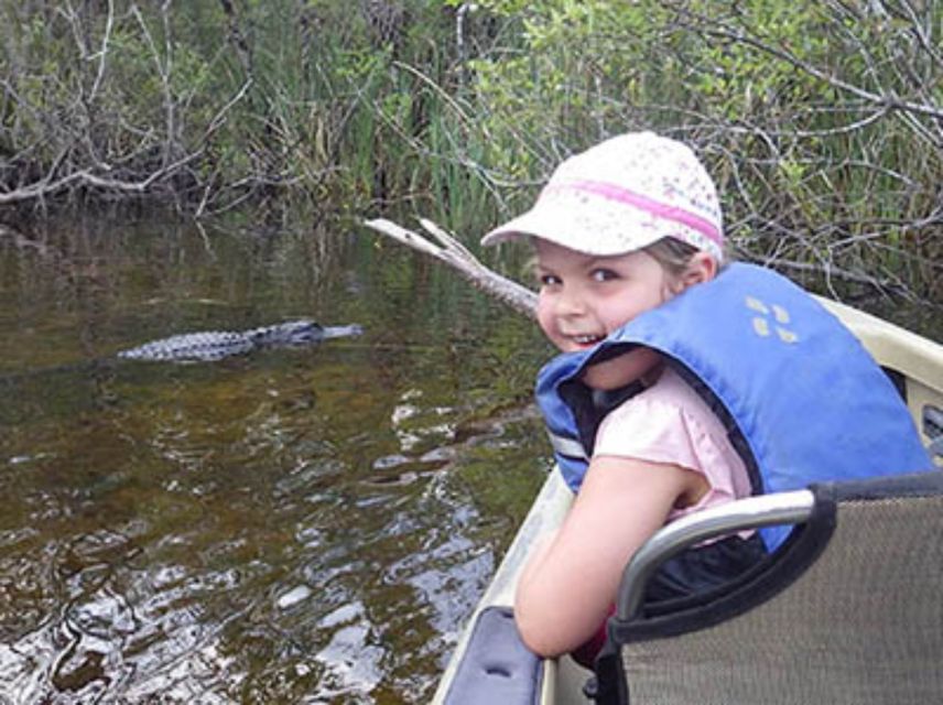 Everglades: Everglades Alligators and Orchids Kayak Eco Tour - Orchids, bromeliads, and the season’s surprises