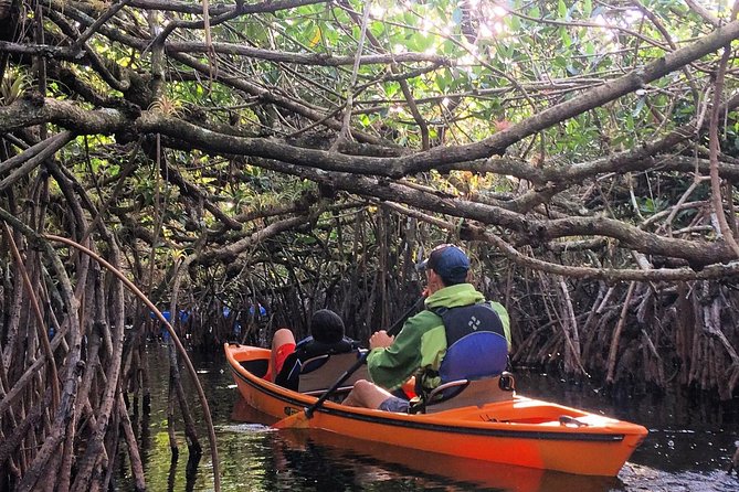 Everglades Kayak Safari Adventure Through Mangrove Tunnels - Key points to know before booking