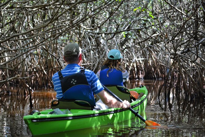 Everglades Kayak Safari Adventure Through Mangrove Tunnels - Why the Turner River makes a good Everglades paddle