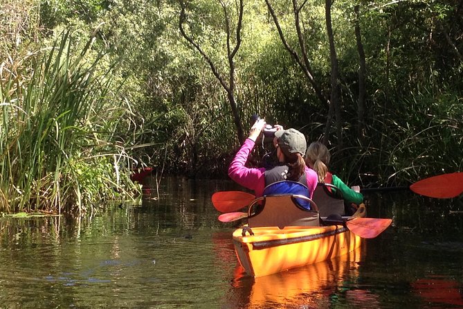 Everglades Kayak Safari Adventure Through Mangrove Tunnels - Three hours through mangroves and cypress