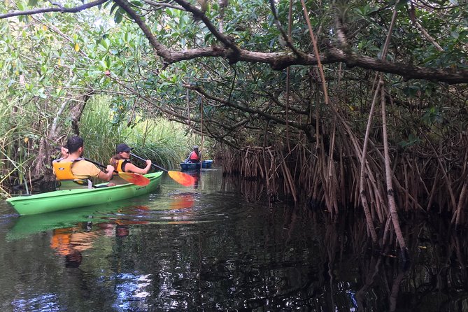 Everglades Kayak Safari Adventure Through Mangrove Tunnels - The value of a small group