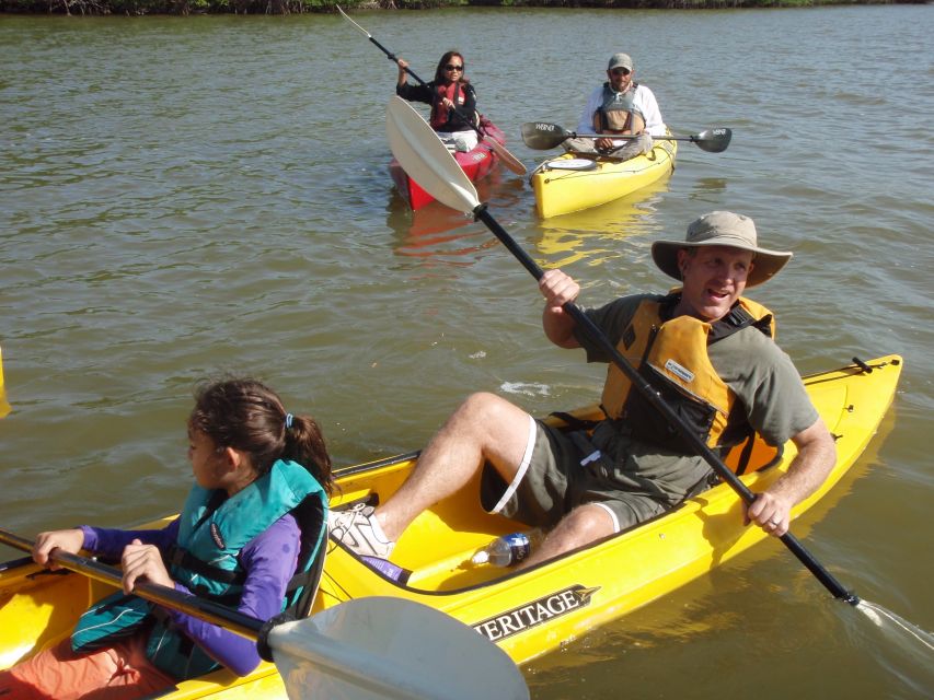 Everglades National Park 3-Hour Kayak Eco Tour - Key points to know before you book
