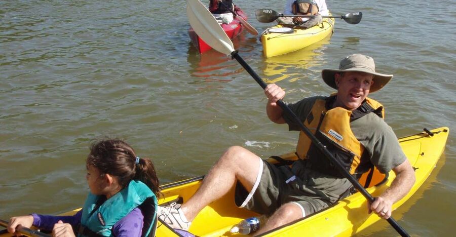 Everglades National Park 3-Hour Kayak Eco Tour - What happens during the three-hour paddle
