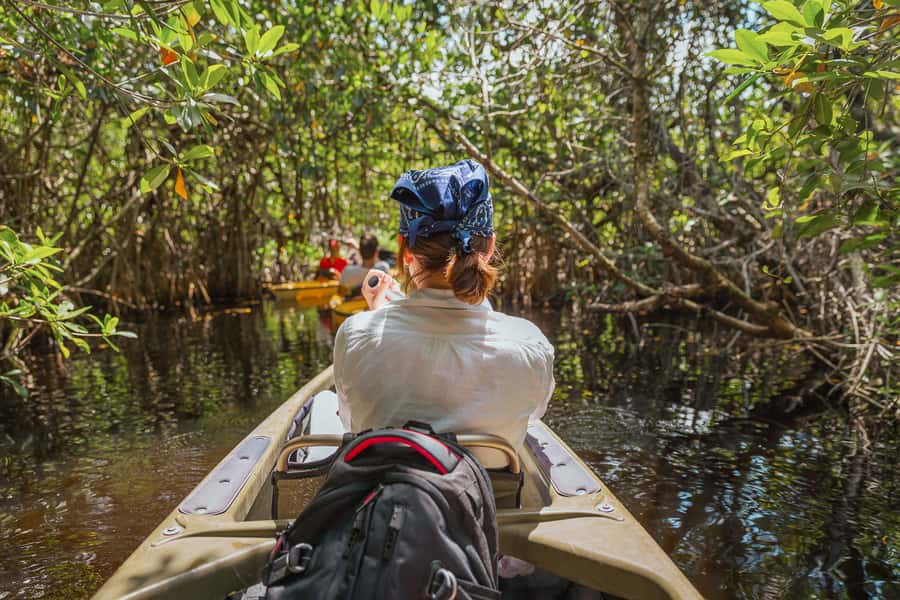 Everglades National Park: Mangrove Tunnel Kayak Eco-Tour - Key points to know before you paddle
