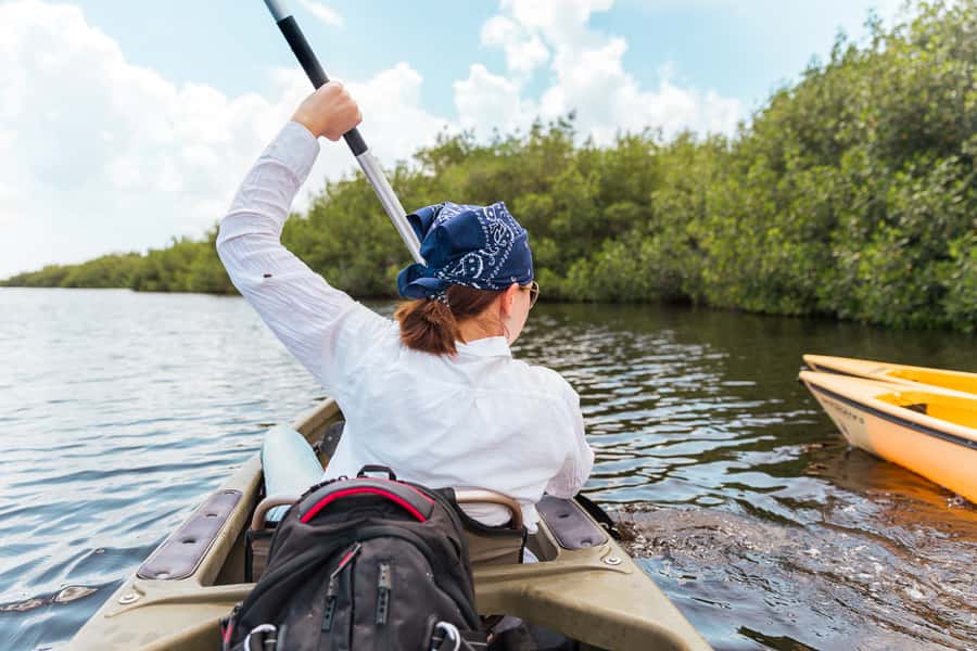Everglades National Park: Mangrove Tunnel Kayak Eco-Tour - Why the mangrove tunnels are the real attraction