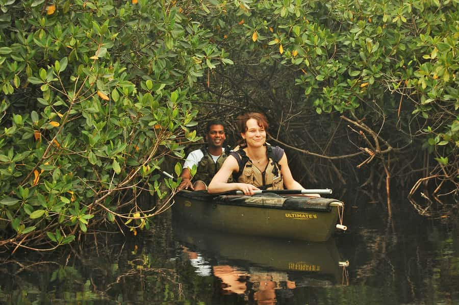 Everglades National Park: Mangrove Tunnel Kayak Eco-Tour - Meeting at the old chamber building