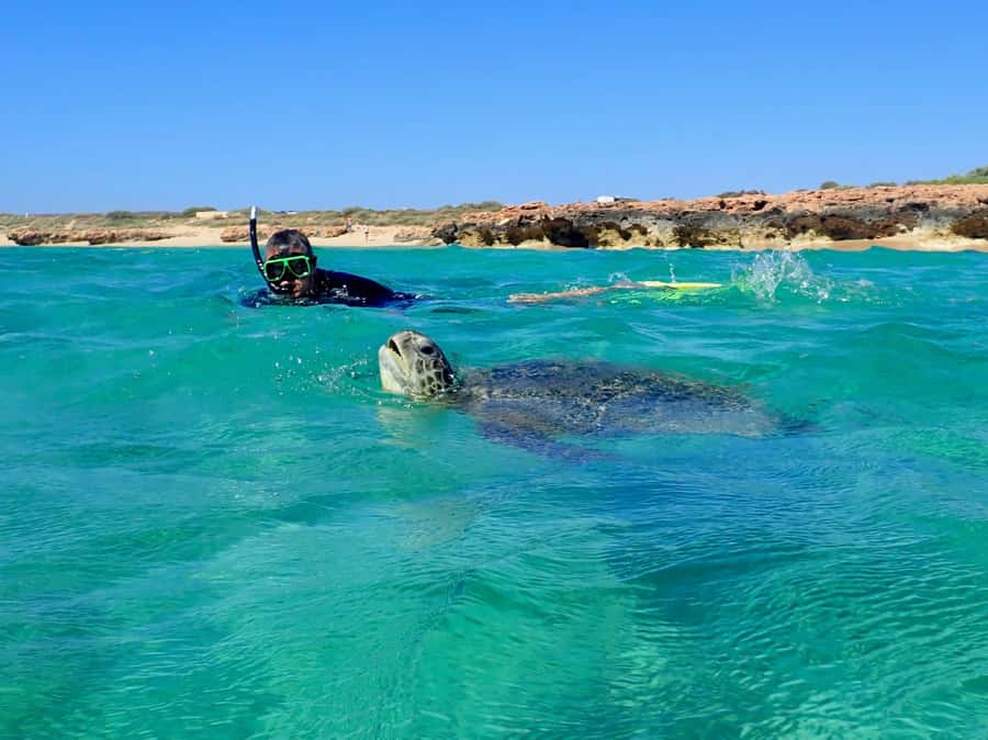Exmouth: Half Day Turtle Kayak & Snorkel Tour - Launching with the right equipment