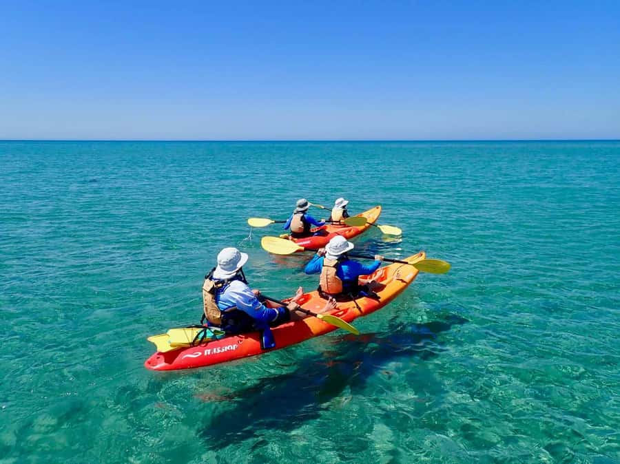 Exmouth: Half Day Turtle Kayak & Snorkel Tour - Choosing between the kayak and the reef