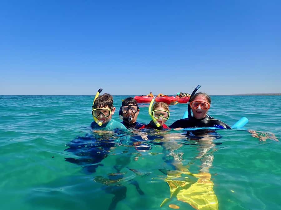Exmouth: Half Day Turtle Kayak & Snorkel Tour - Snorkeling the kayak-only moorings