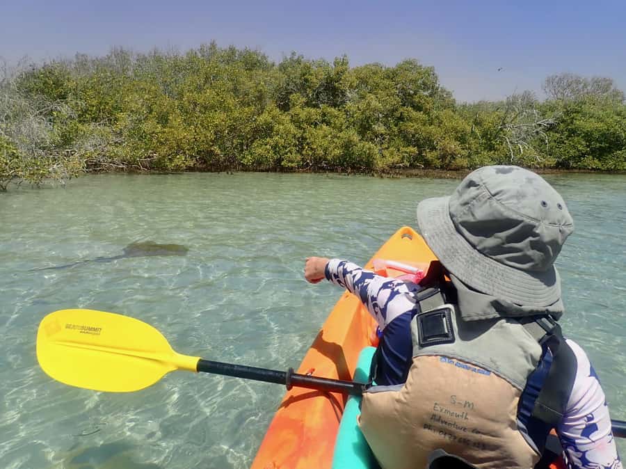 Exmouth: Half Day Turtle Kayak & Snorkel Tour - Looking for turtles in the shallows