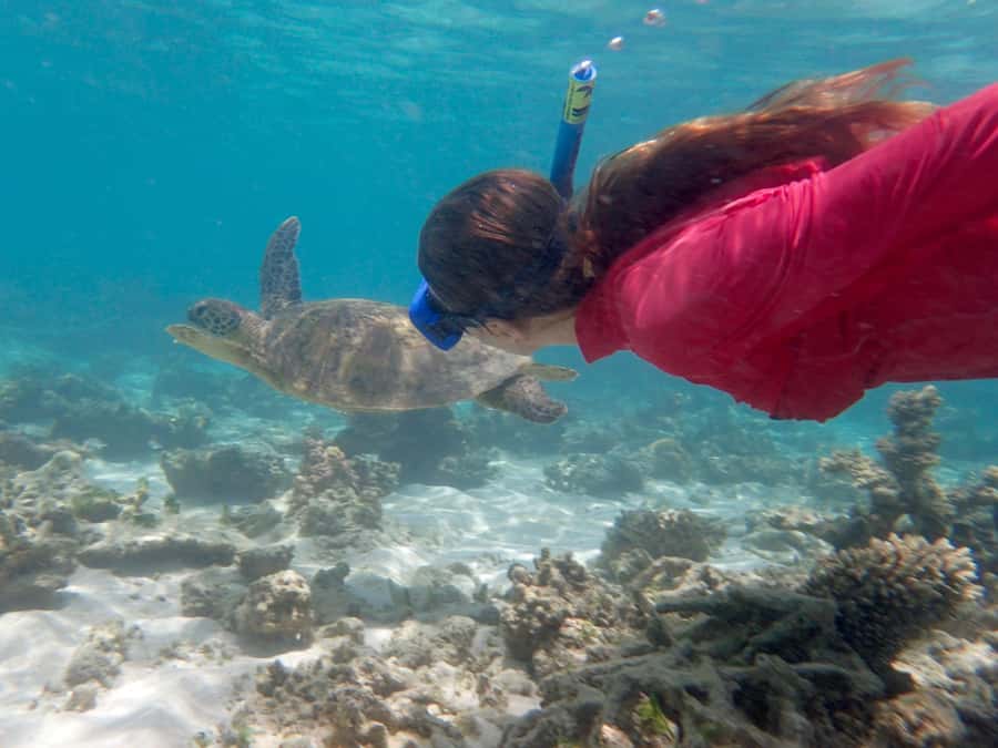 Exmouth: Lagoon Explorer - Full day kayak & Snorkel tour - Morning tea on a sandy beach