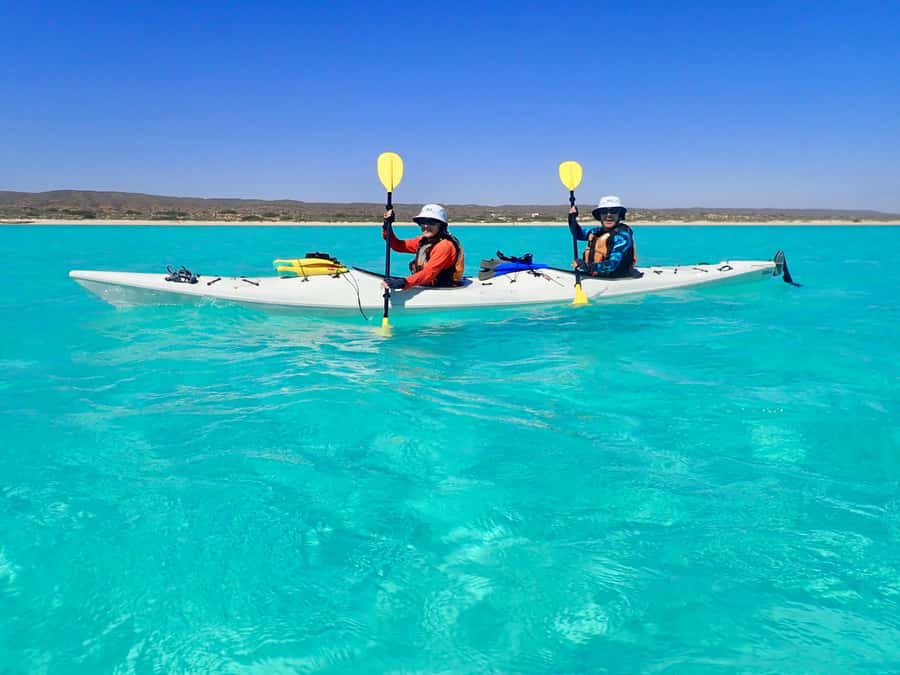 Exmouth: Lagoon Explorer - Full day kayak & Snorkel tour - Snorkeling from the beach or kayak
