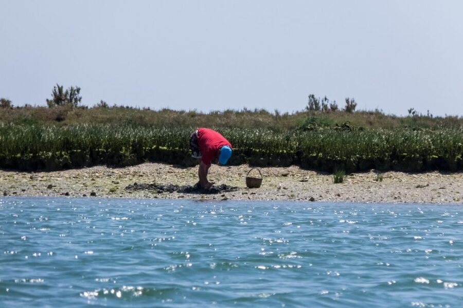 Faro: Kayak Hire in Ria Formosa Natural Park - What the briefing adds before launch