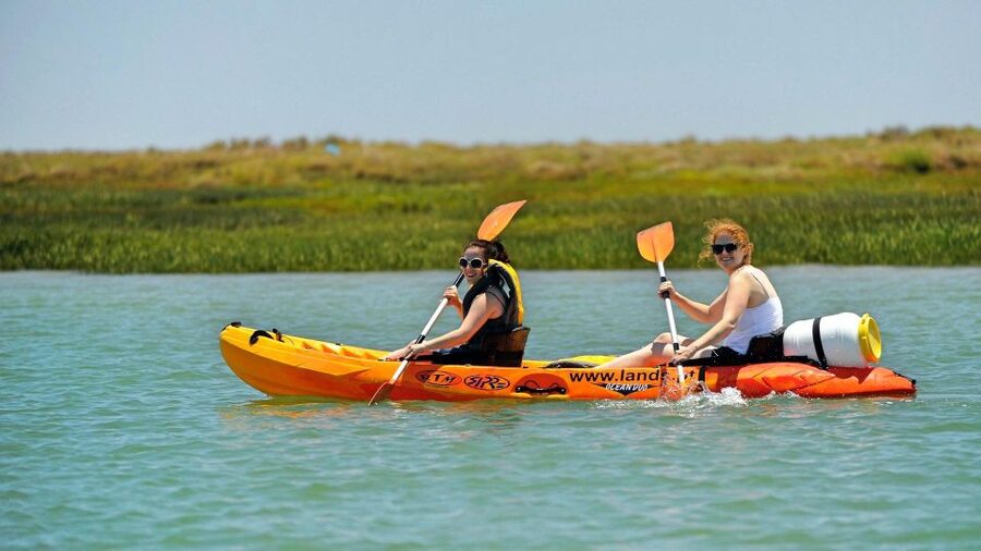 Faro: Kayak Hire in Ria Formosa Natural Park - What the $40 price really covers