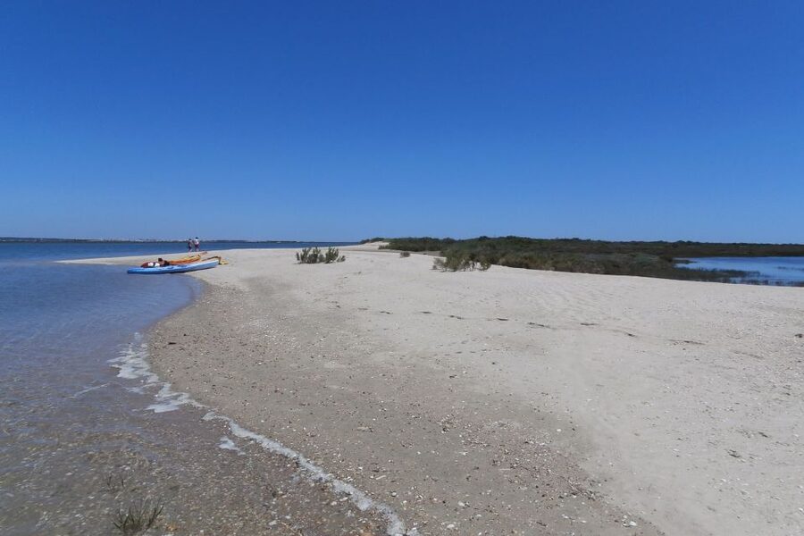 Faro: Kayak Hire in Ria Formosa Natural Park - Who will enjoy this most