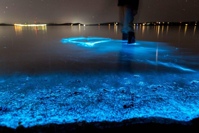 Florida Bioluminescence Kayaking Tour (Titusville) - Key points at a glance