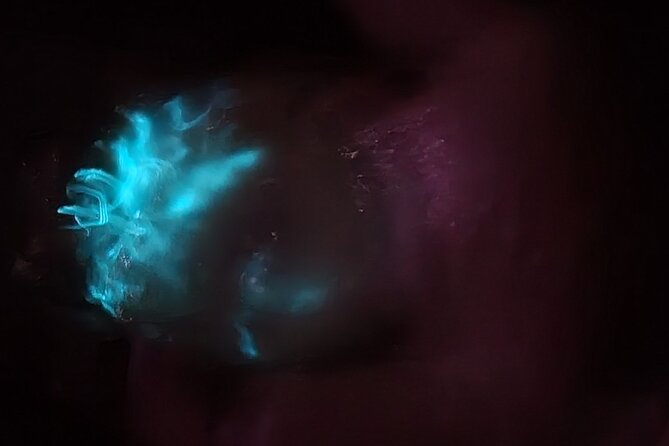Florida Bioluminescence Kayaking Tour (Titusville) - Seeing comb jellies and fish below you